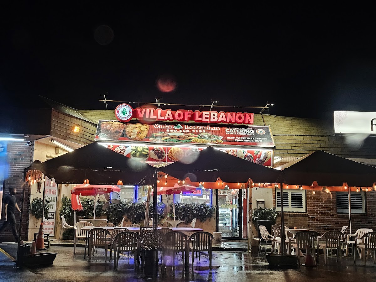 Villa Of Lebanon